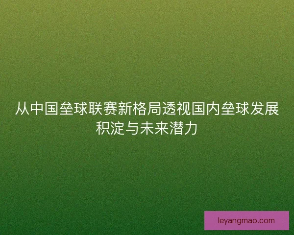 从中国垒球联赛新格局透视国内垒球发展积淀与未来潜力